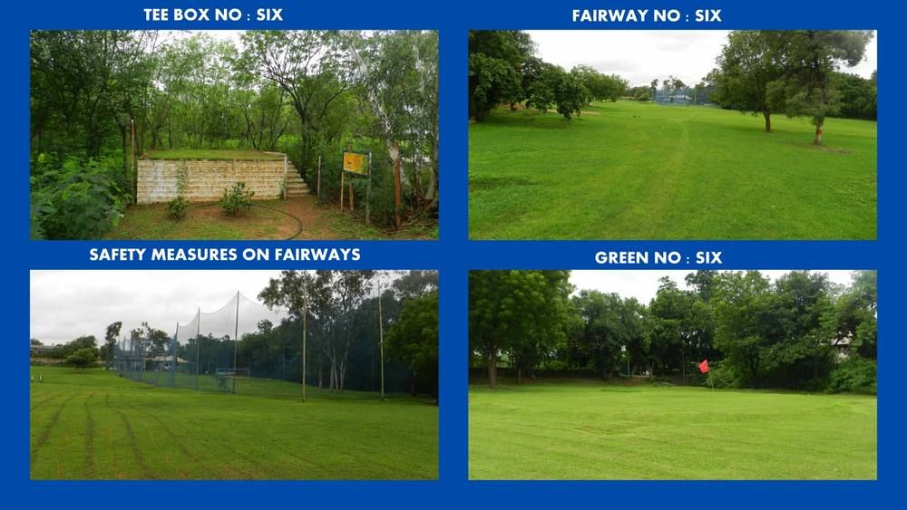 Tree-lined fairways